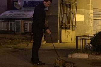 Вигулював леопарда просто на вулицях Києва: мережу збурили несподівані фото