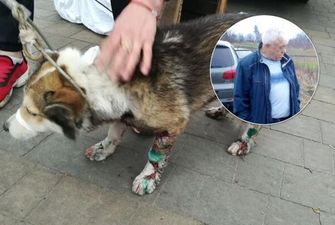 В Хмельницкой области чиновник привязал к автомобилю и протащил по дороге собаку