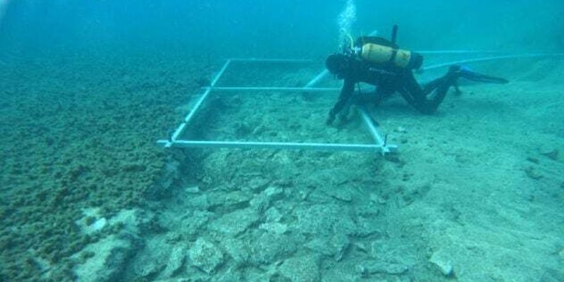 Біля узбережжя Хорватії знайшли затоплену дорогу, якій 7000 років
