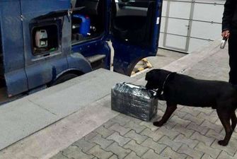 Службовий собака допоміг буковинським митникам виявити контрабандні цигарки
