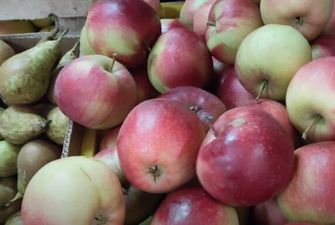 Ціни на яблука активно зростають