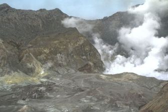 Новая Зеландия заказала из США кожу для пересадки пострадавшим от извержения вулкана