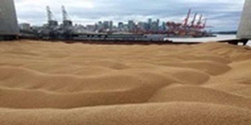Минагрополитики оценило потери экспорта зерна