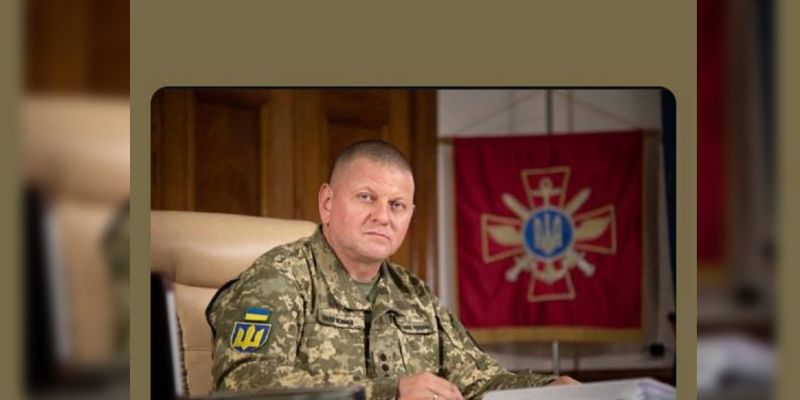 Спасибо, господин генерал! Украинские звезды реагируют на отставку Залужного