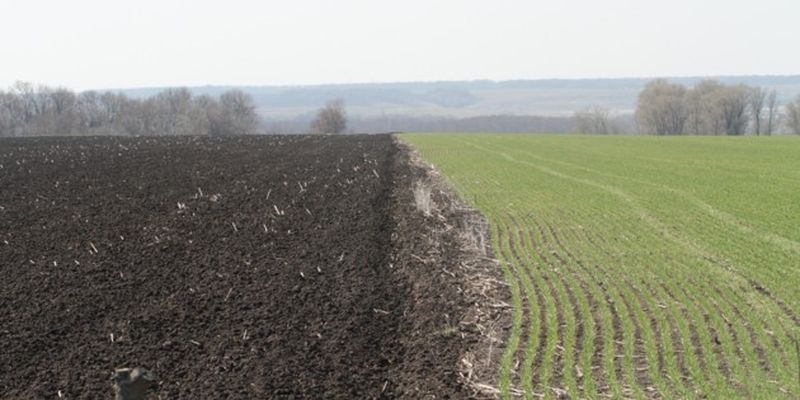 В Украине составили карту сельхозземель, которыми владеют иностранцы