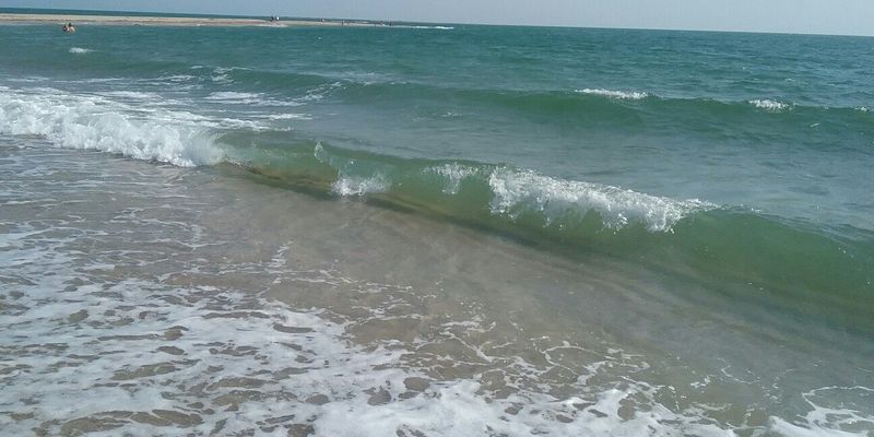 Можно не успеть: в сети на фото показали "аншлаг" на пляжах в Крыму