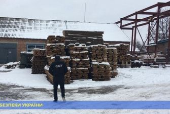 Руководители государственного лесхоза провернули сделку на 5 миллионов