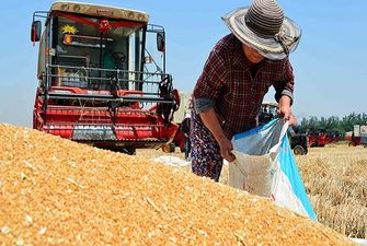 Еда и нефть: как Аргентина и Бразилия выиграли от войны в Украине, — The Economist