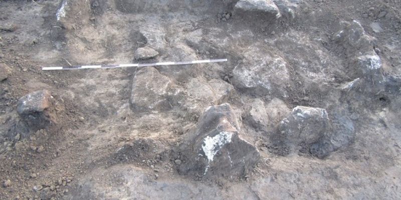 В Тернопольской области обнаружили захоронение скифского периода
