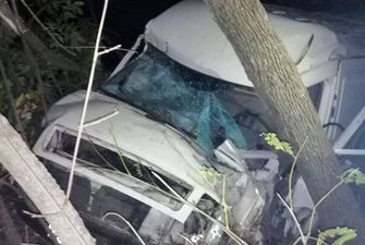 На Донеччине грузовик сбил на смерть пешехода и въехал в дерево