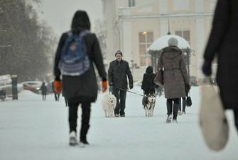 Украину снова скуют морозы и засыплет снегом