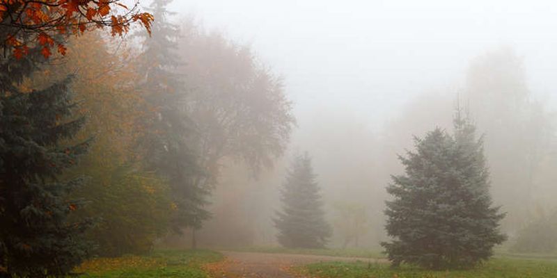 Без опадів, але з туманами: прогноз погоди в Україні на 22 жовтня