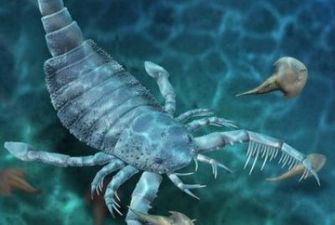 Ученые нашли останки древнего гигантского скорпиона размером с собаку