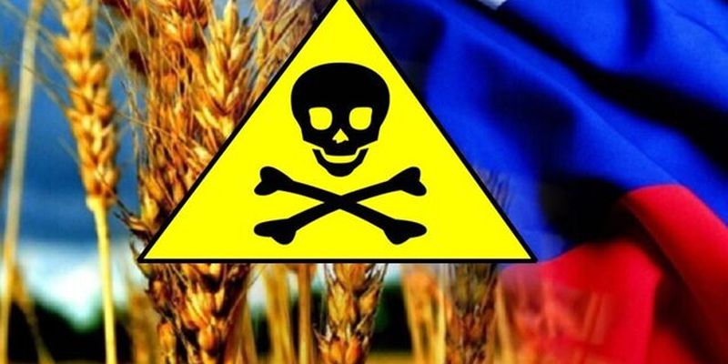 В России везде дефект: теперь грязная пшеница