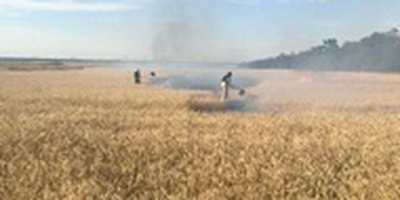 ГСЧС спасла более 1500 га зерновых от пожаров после обстрелов