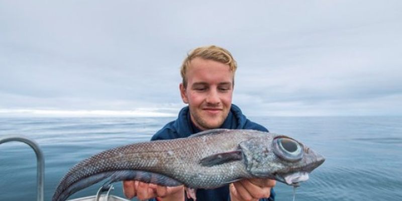 В Норвегии рыбак поймал глазастое существо, похожее на динозавра