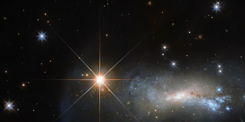 В этом году в небе появится вторая Полярная звезда: ее будет видно даже в городах