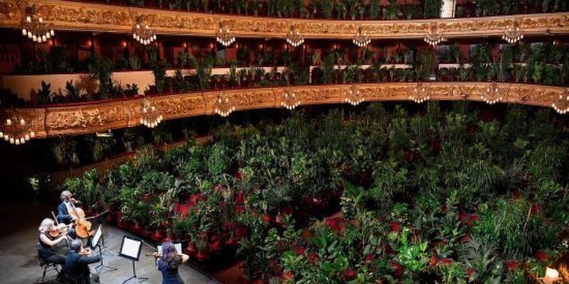 Опера Барселони зіграла концерт для 2 292 квітів: їх подарують медикам