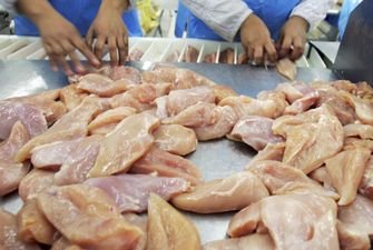 ЕС признал Украину одним из топ-поставщиков курятины