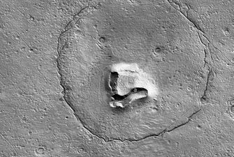 Марсианский Паддингтон. Космический аппарат NASA нашел на Марсе медведя