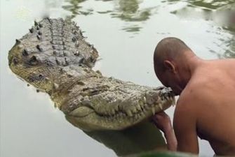 Крокодил поселился у буддистских монахов и стал вегетарианцем