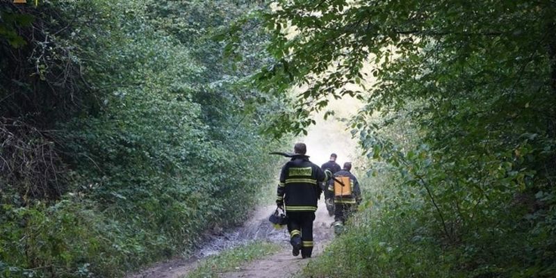 В Закарпатье ликвидировали масштабный лесной пожар