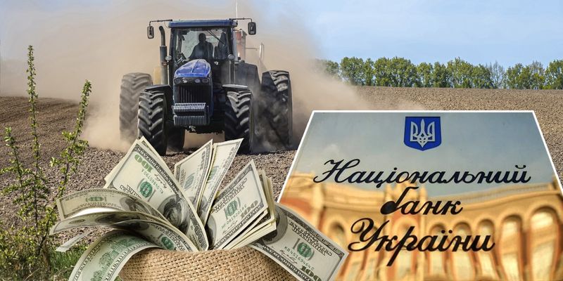 Скоростное движение: Украина заставляет аграриев ускорить сроки возврата валютной выручки