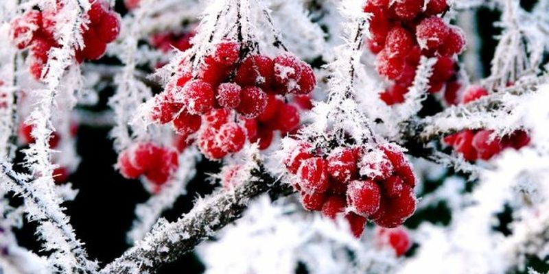 Погода на 4 грудня: зимова казка скасовується