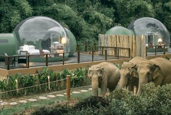 Гостиница в Таиланде предлагает жить по соседству со слонами