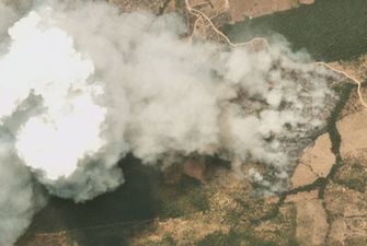 G7 готовит соглашение о помощи в борьбе с пожарами в лесах Амазонии