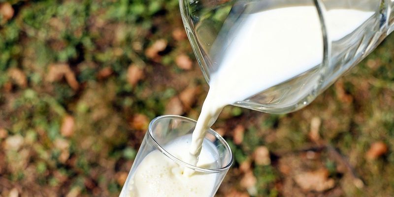 Виробництво молока в 2021 році може знизитися — IFCN