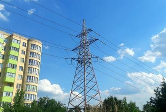 Украина должна дать возможность работать собственным энергетическим предприятиям, а не импортировать ток из России и Беларуси – экс-председатель ВР