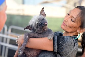 Мистер Счастливое Лицо: как выглядит самая уродливая собака 2022 года