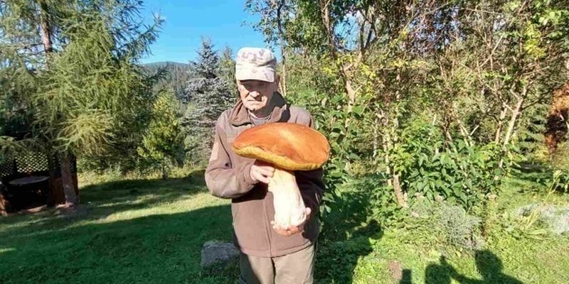 В Карпатах нашли гриб весом 3 килограмма