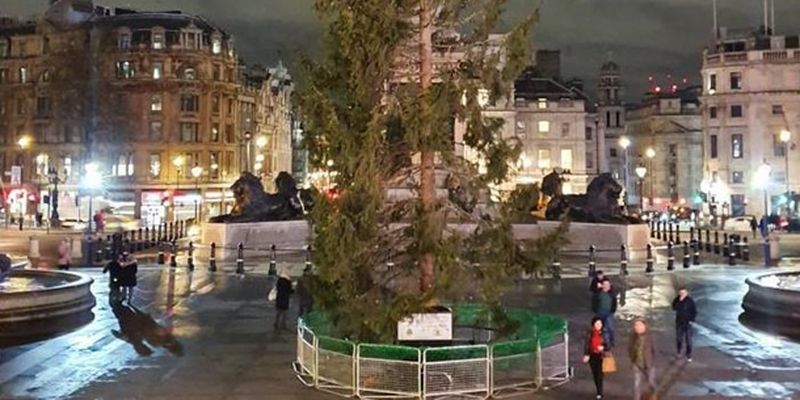 В Лондоне смеются над подаренной Норвегией елкой
