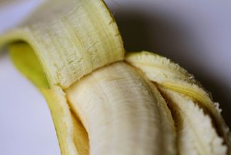 У США художник з'їв приклеєний скотчем до стіни банан вартістю 120 тисяч доларів