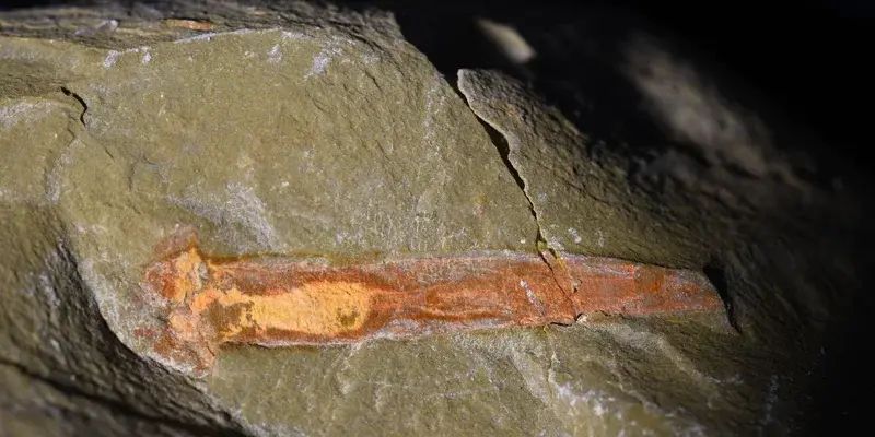 Жили на 25 млн років довше: стародавні черв'яки спростували теорію вчених про виникнення життя