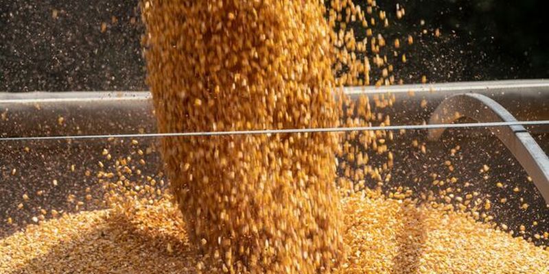 П'ять країн ЄС вимагають повністю заборонити ввезення зерна з Росії: список