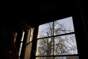 На Прикарпатті школу "захопив" грибок після заміни старих вікон на сучасні