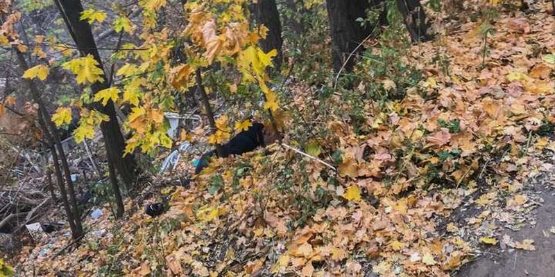 Біля гуртожитків університету Поплавського знайшли повішеного хлопця