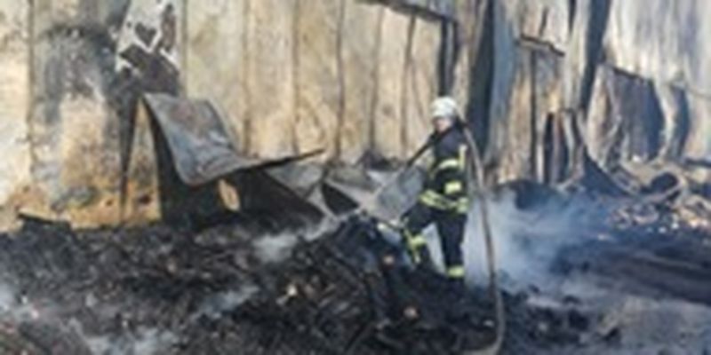 Масштабный пожар под Киевом: горела овощебаза
