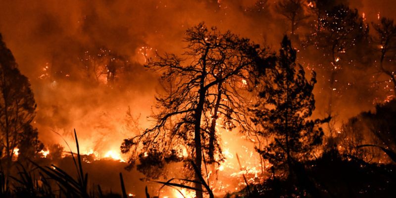 В Анталии ввели ограничения из-за опасности лесных пожаров
