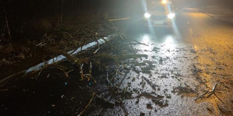 Ураганы в Польше повалили сотни деревьев и оставили без электричества десятки тысяч человек