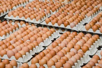 Больше всего подорожали яйца: инфляция в январе ускорилась