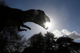 Найдены следы динозавра возрастом 100 млн лет