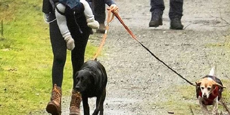 В оточенні собак та охорони: Меган Маркл помітили на прогулянці разом з сином