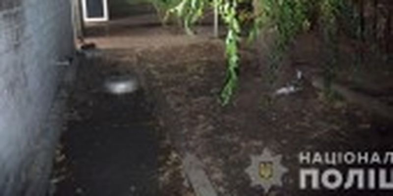 Тримали п'ять бійцівських собак: у Харкові жінку загризли у власному дворі