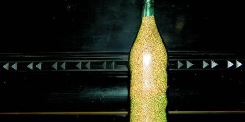 Голодомор: закопану пляшку з зерном відкопали через 80 років