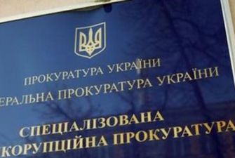 Протеже Сытника на должность главы САП Кроловецкая имеет долю в "янтарном бизнесе", - СМИ