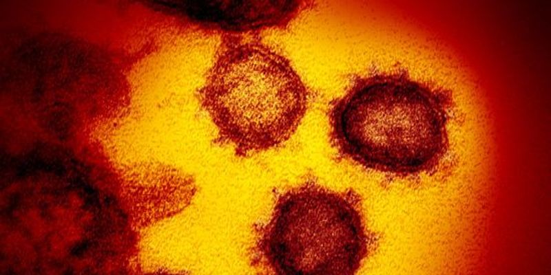 Популярні ліки від печії підвищують ризик інфікування новим коронавірусом - дослідження